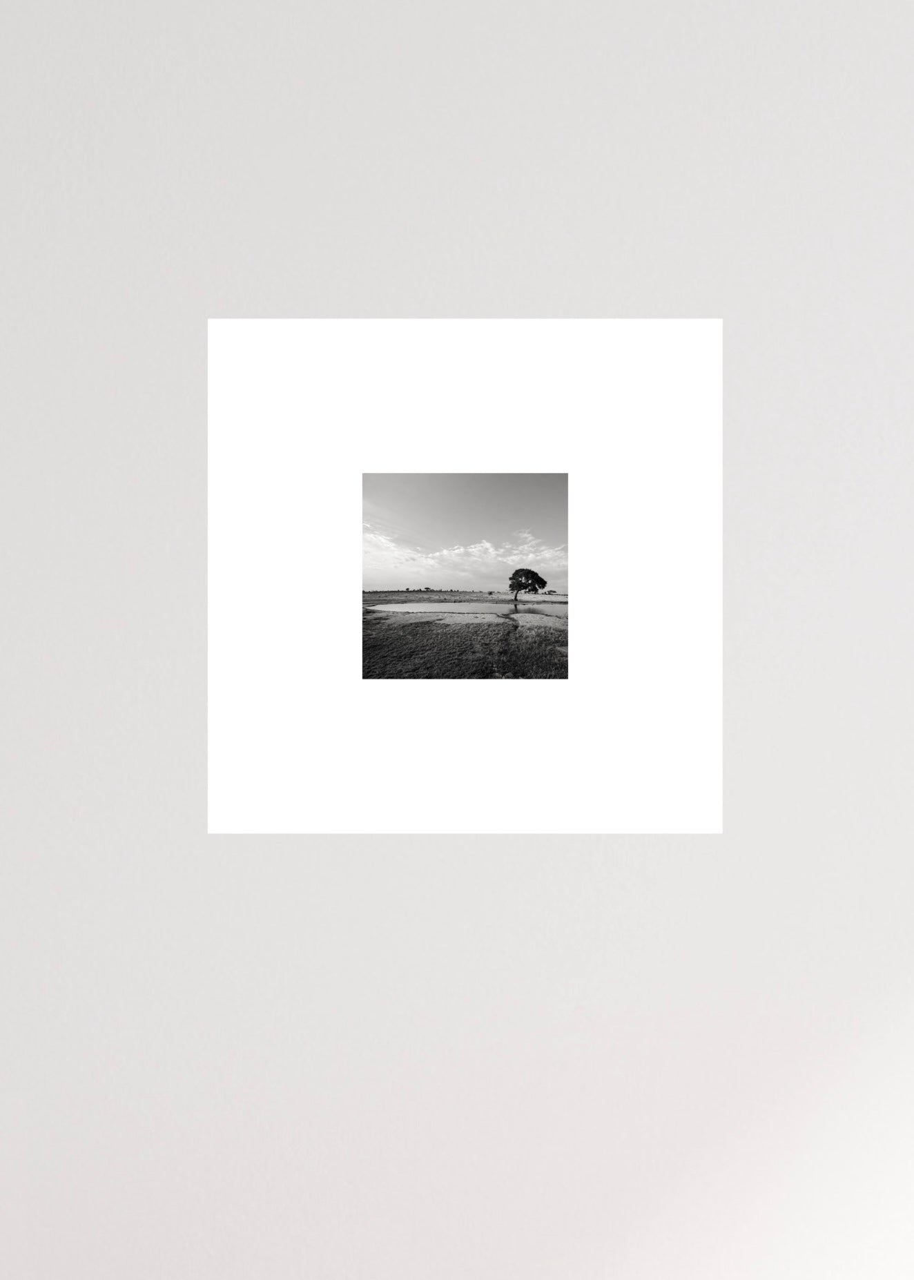 Framed black and white landscape print of a tree in a field with a cloudy sky.