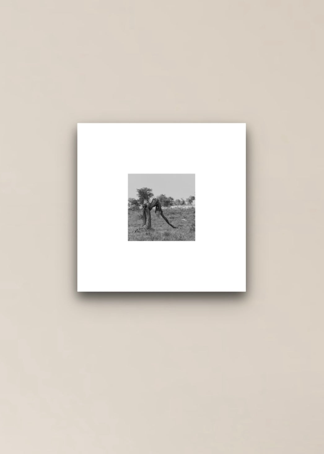 Framed black and white photograph of a person in a field on a beige wall.