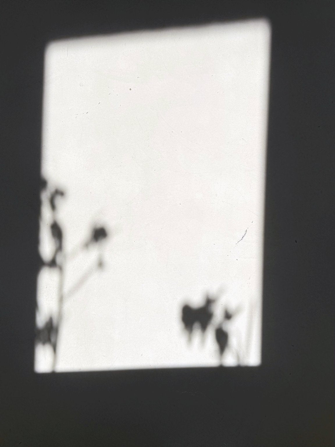 Blurred silhouette of a person holding a camera against a light background